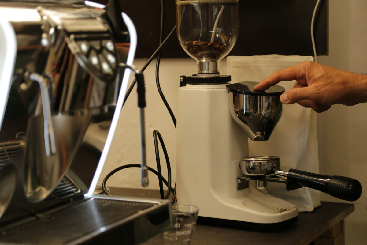notfall-dienst-gewerbe-service-reparatur-siebtraeger-kaffeemuehlen-dresden