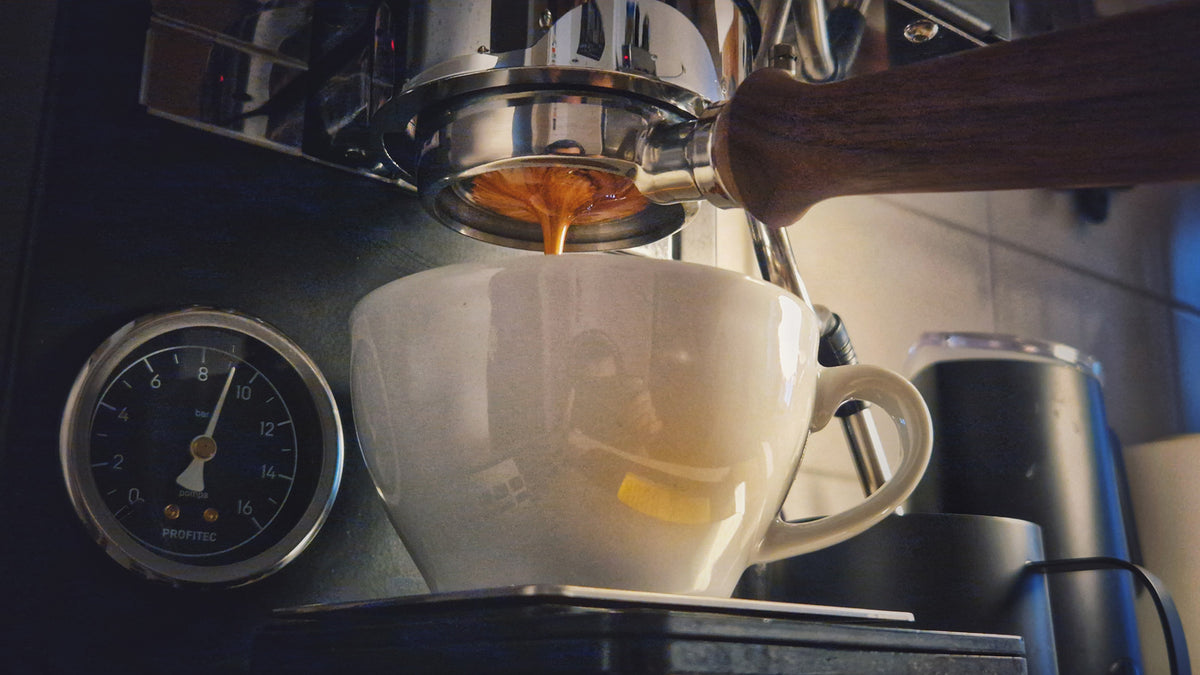 fam-kaffeetechnik-service-gewerbekunden-siebtraeger-kaffeemuehlen-dresden